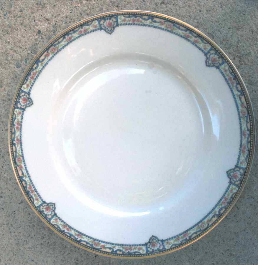 H3647 Dinner Plate by Haviland-1