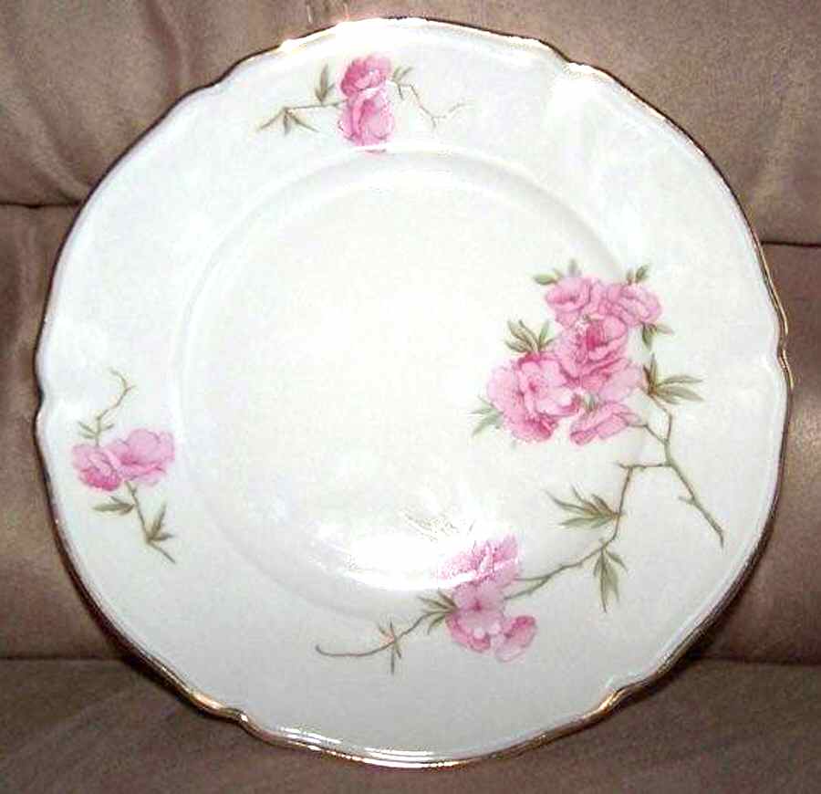HUT1742 Dinner Plate by Hutschenreuther-1