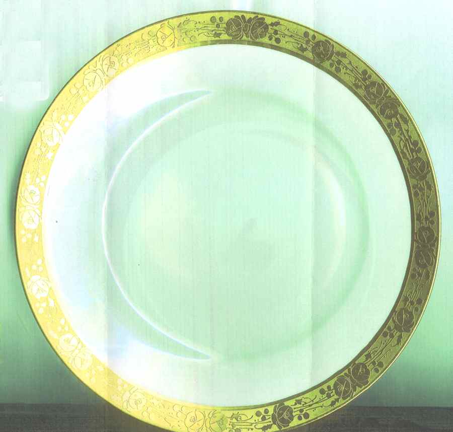 HUT1743 Salad Plate by Hutschenreuther-1