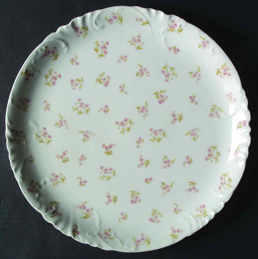 H3661 Cake Plate by Haviland-1