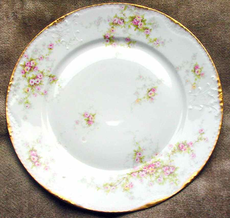 Schleiger 149-14 Dinner Plate by Haviland-1
