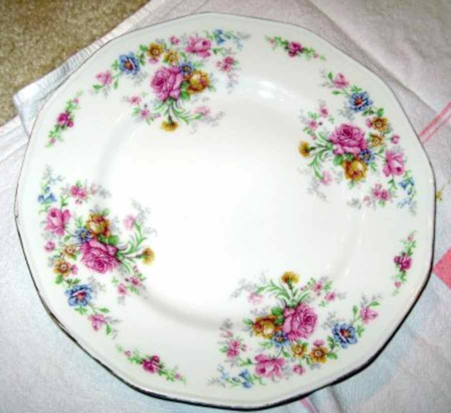 H3675 Dinner Plate by Haviland-1