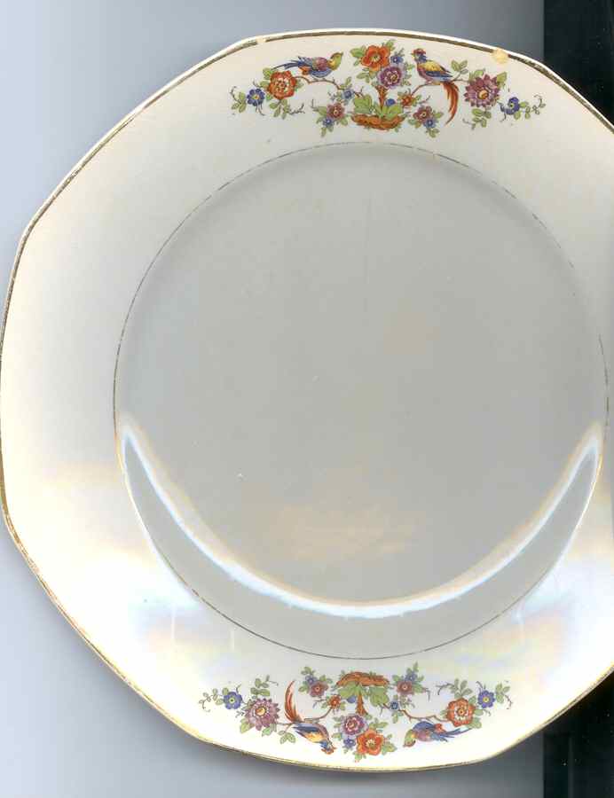 HLC3713 Dinner Plate by Homer Laughlin -1