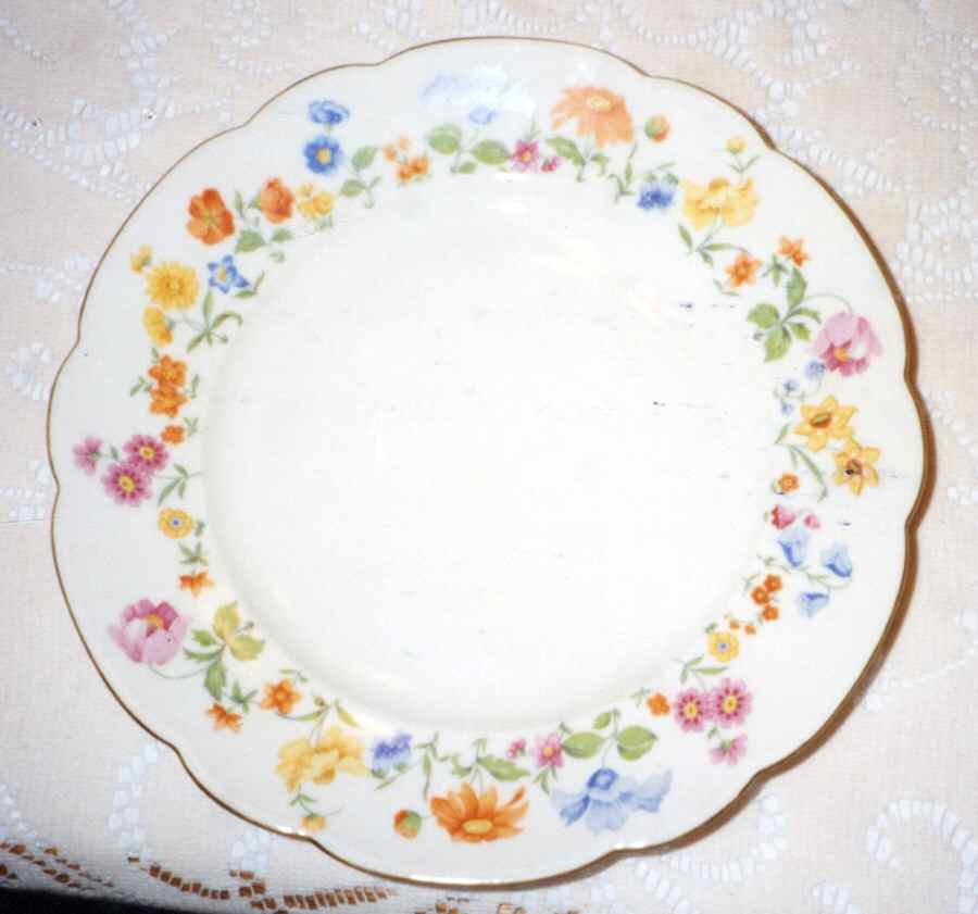 Hwc38 Dinner Plate by HW (Germany, Czech)-1