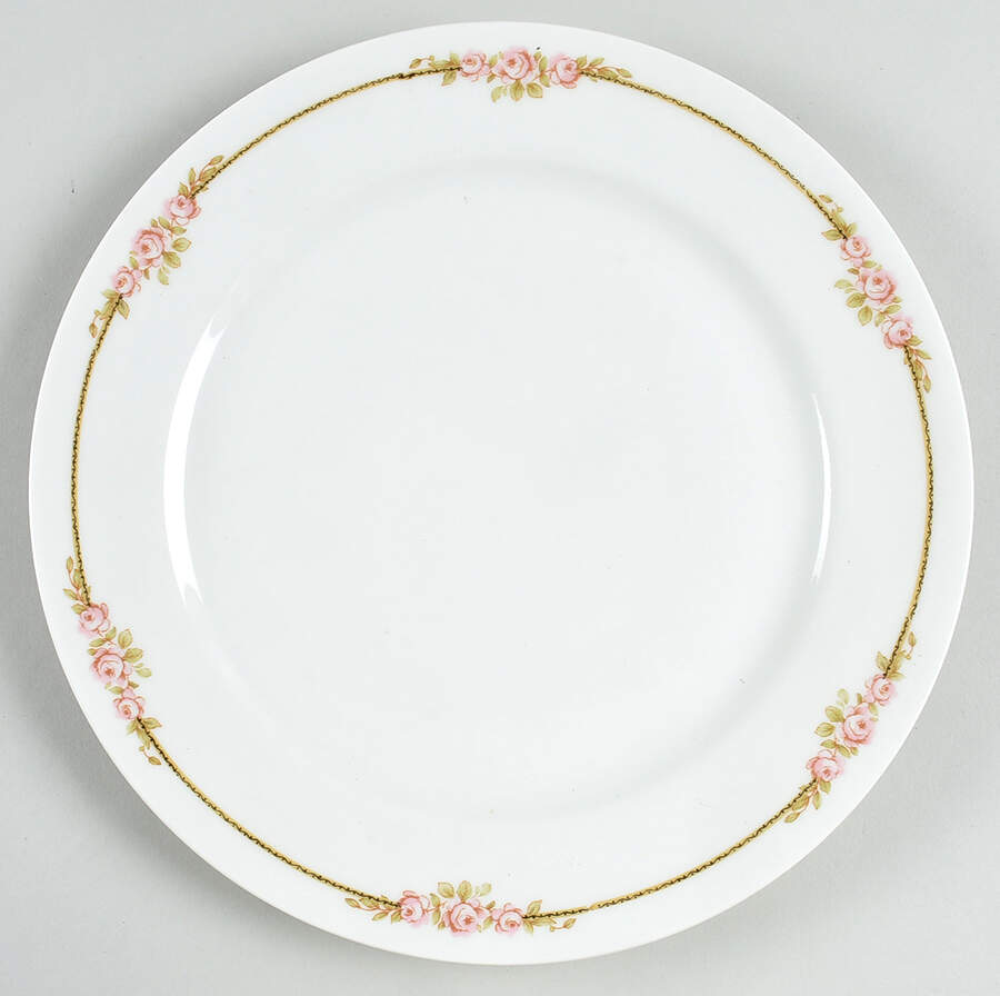 H3678 Dinner Plate by Haviland-1