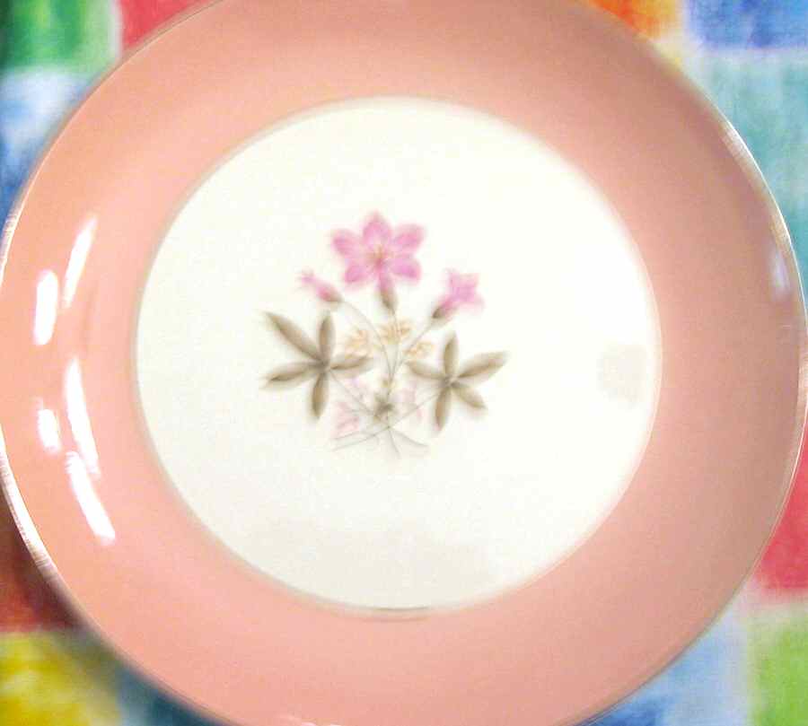 HLS307 Dinner Plate by Homer Laughlin -1