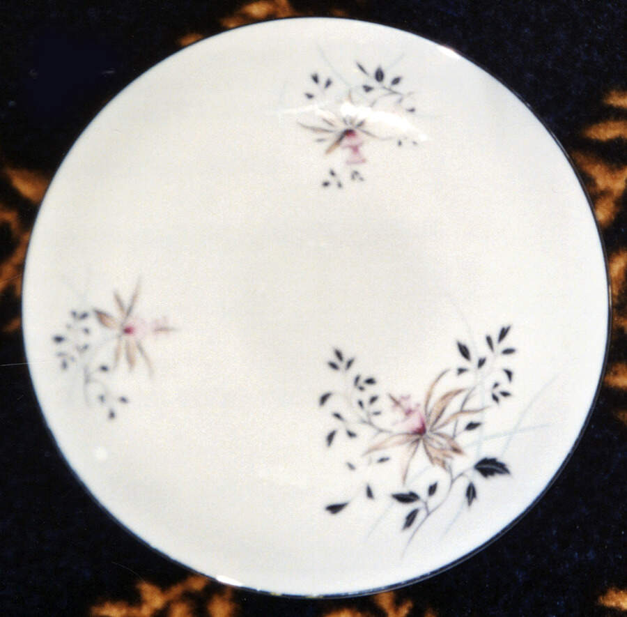 Melody Dinner Plate by Hira China-1