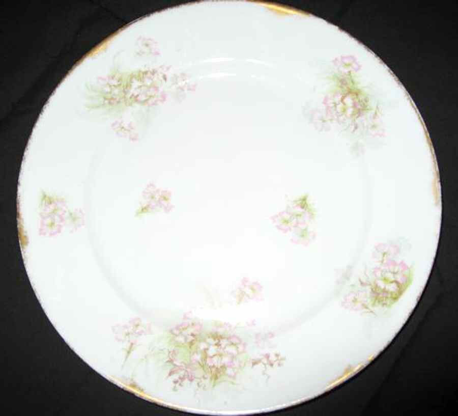 H3459 Dinner Plate by Haviland-1