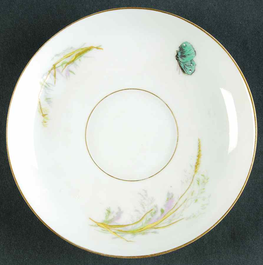 H3689 Saucer by Haviland-1