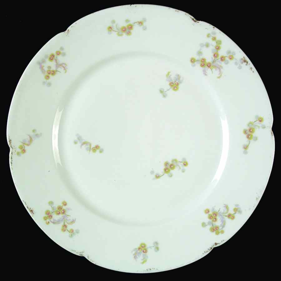 Schleiger 1030-2 Dinner Plate by Haviland-1
