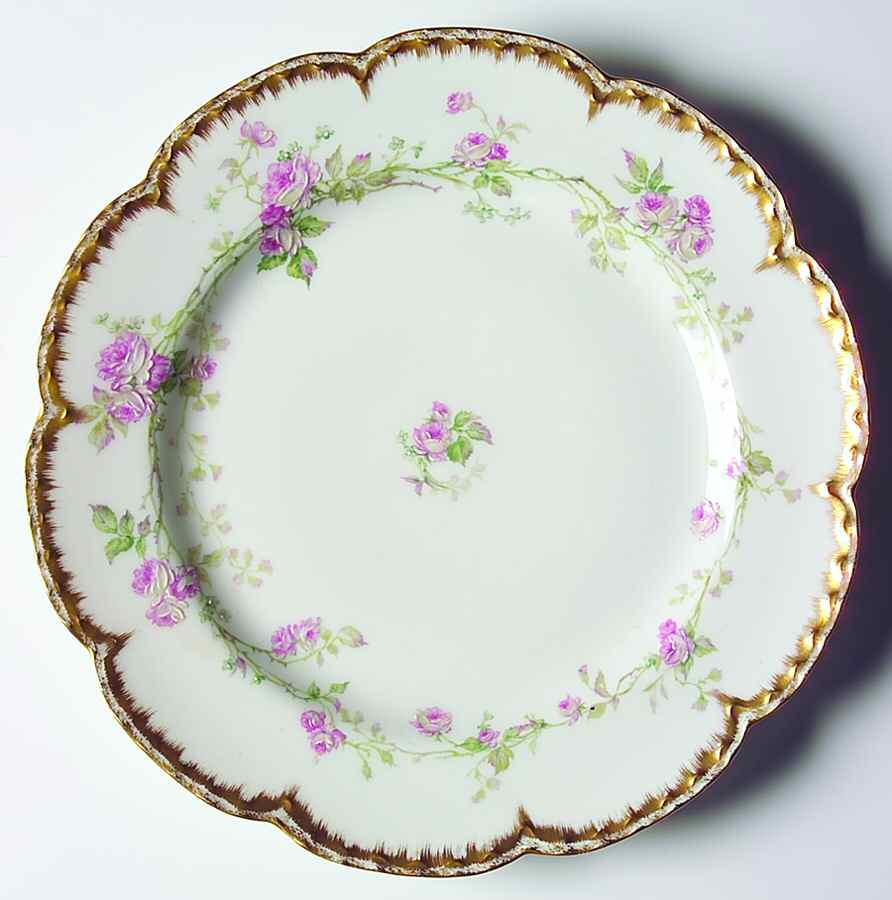 H3464 Dinner Plate by Haviland-1