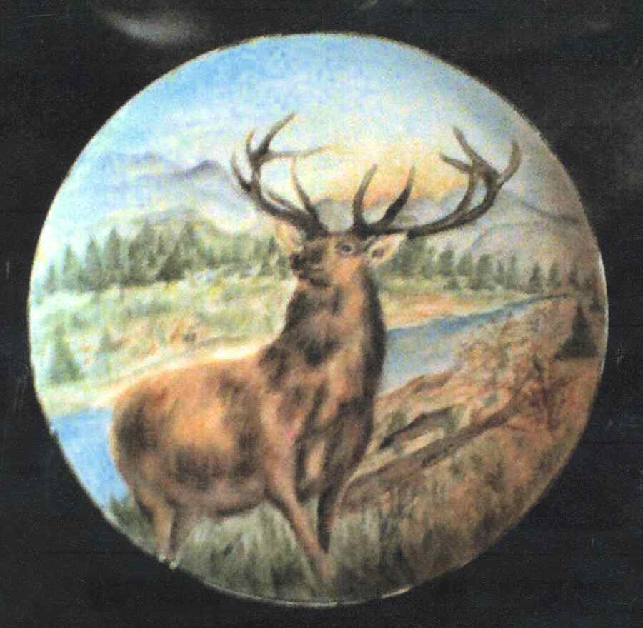HUT1775 13" Chop Plate (Round Platter) by Hutschenreuther-1