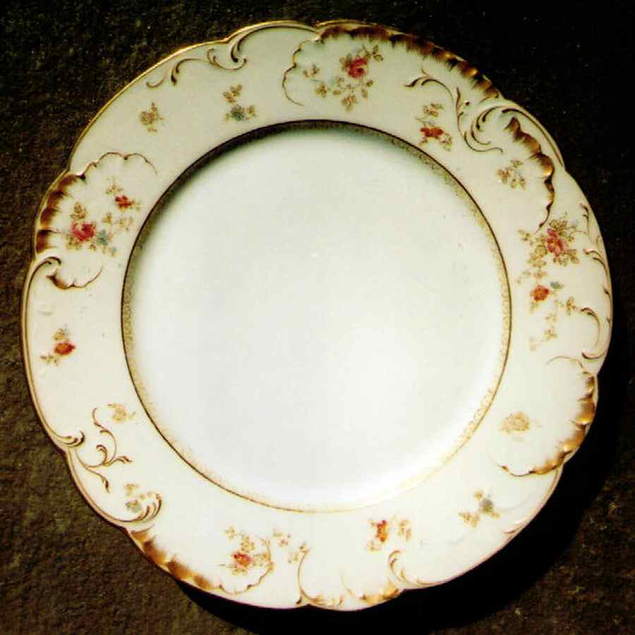H3469 Dinner Plate by Haviland-1