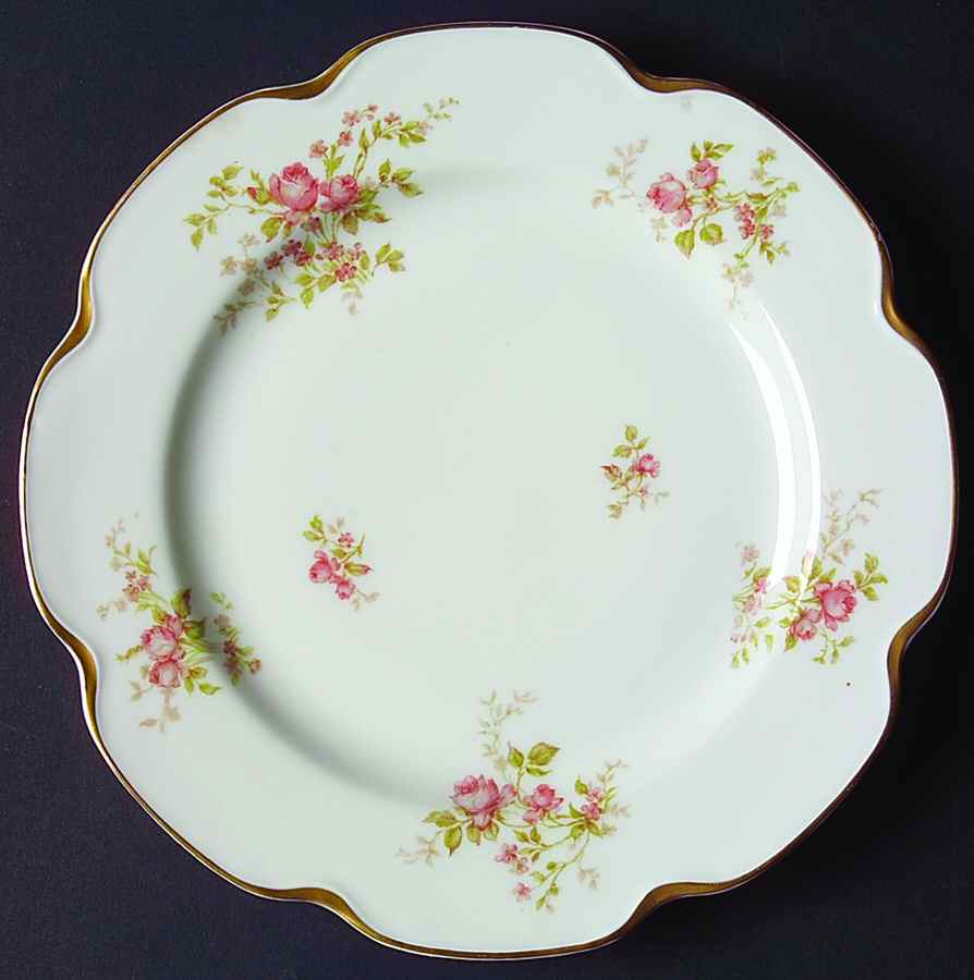 H3702 Salad Plate by Haviland-1