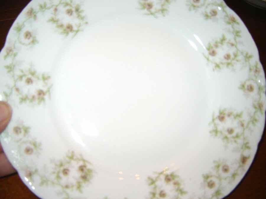 Schleiger 1049-2 Salad Plate by Haviland-1