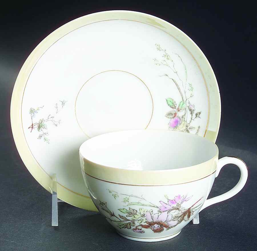 H3703 Flat Cup & Saucer Set by Haviland-1