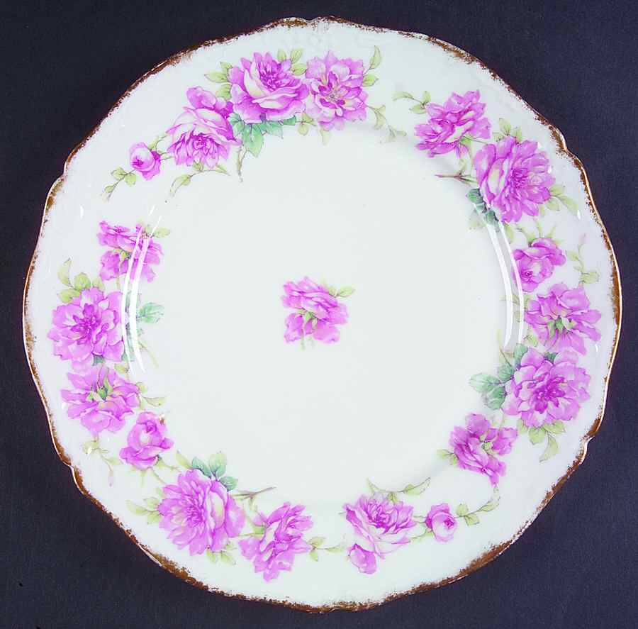 H3704 Dinner Plate by Haviland-1