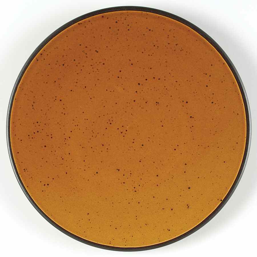 Rave Amber Field Dinner Plate by Home Trends-1