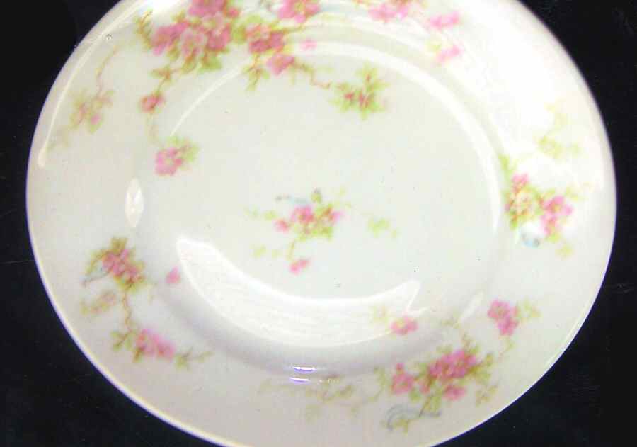 H3710 Dinner Plate by Haviland-1