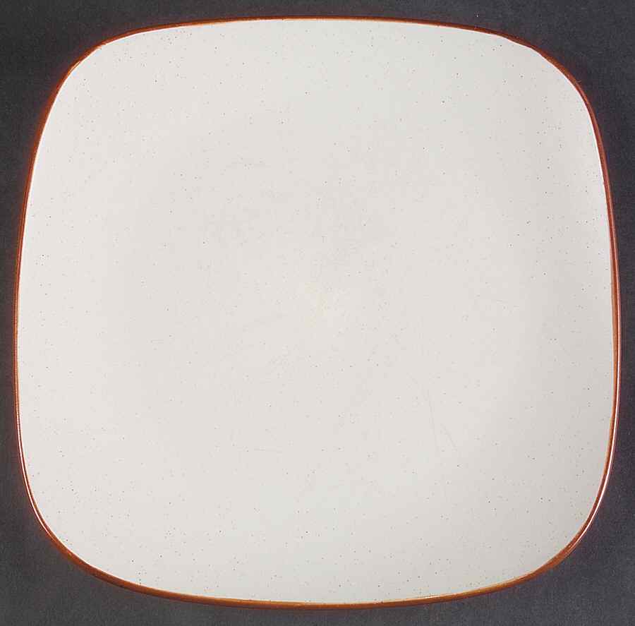Collector Square Dinner Plate by Home Trends-1