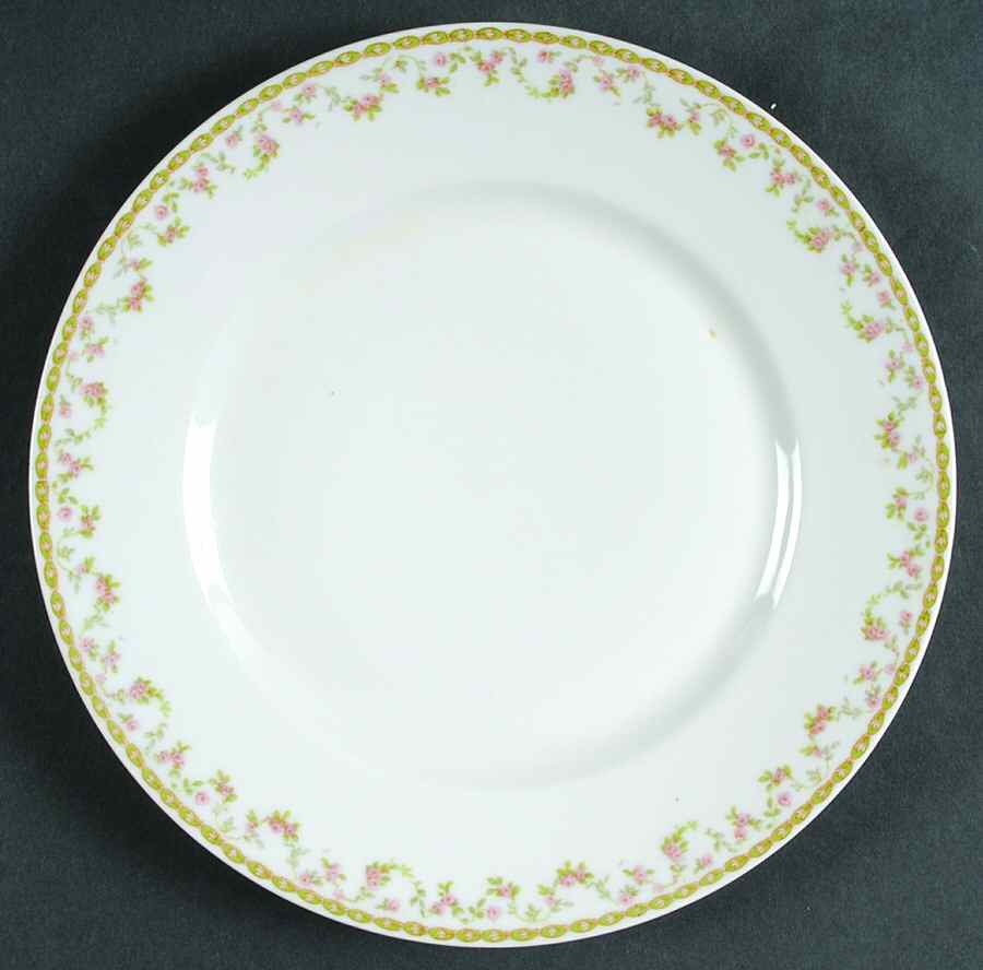 H3715 Dinner Plate by Haviland-1