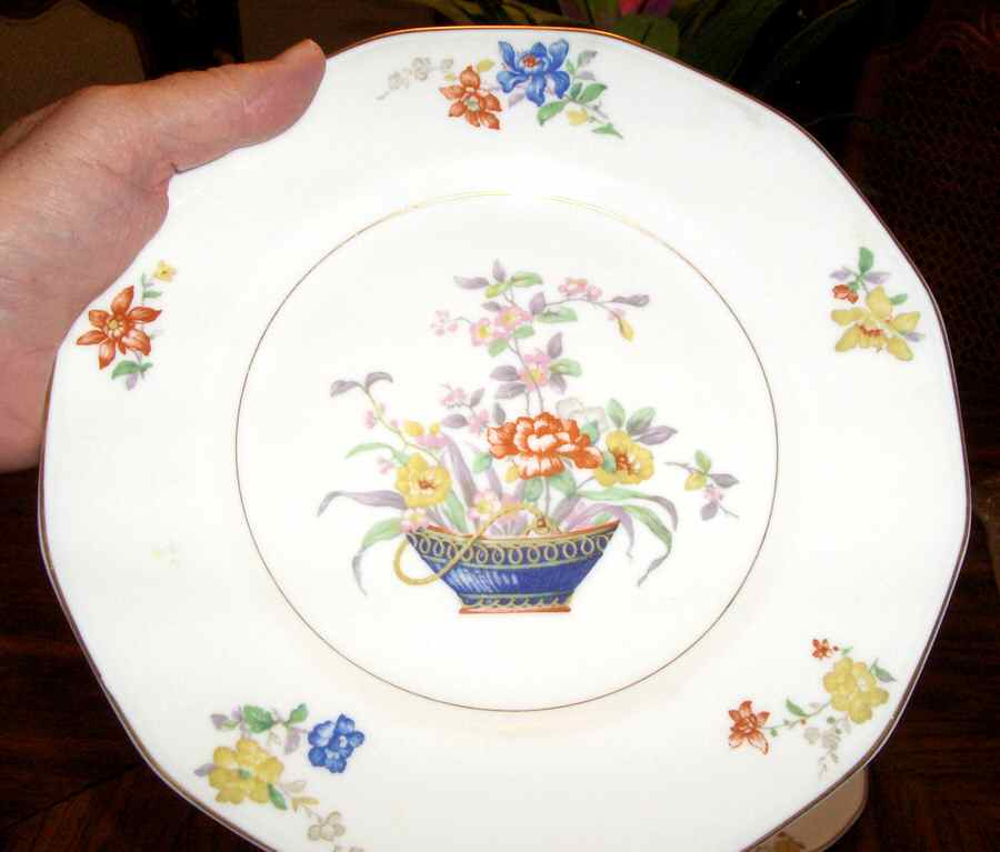 Bussy Dinner Plate by Haviland-1