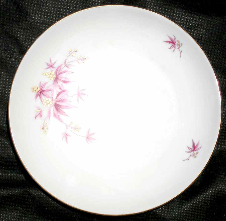 HCZ131 Dinner Plate by Haas-Czjzek Coronado-1