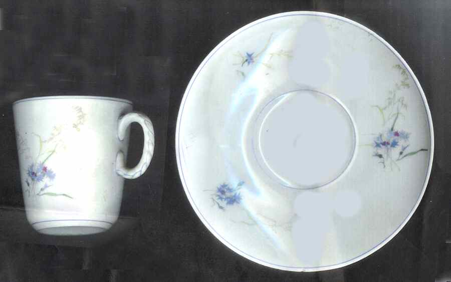 H3719 Flat Cup & Saucer Set by Haviland-1