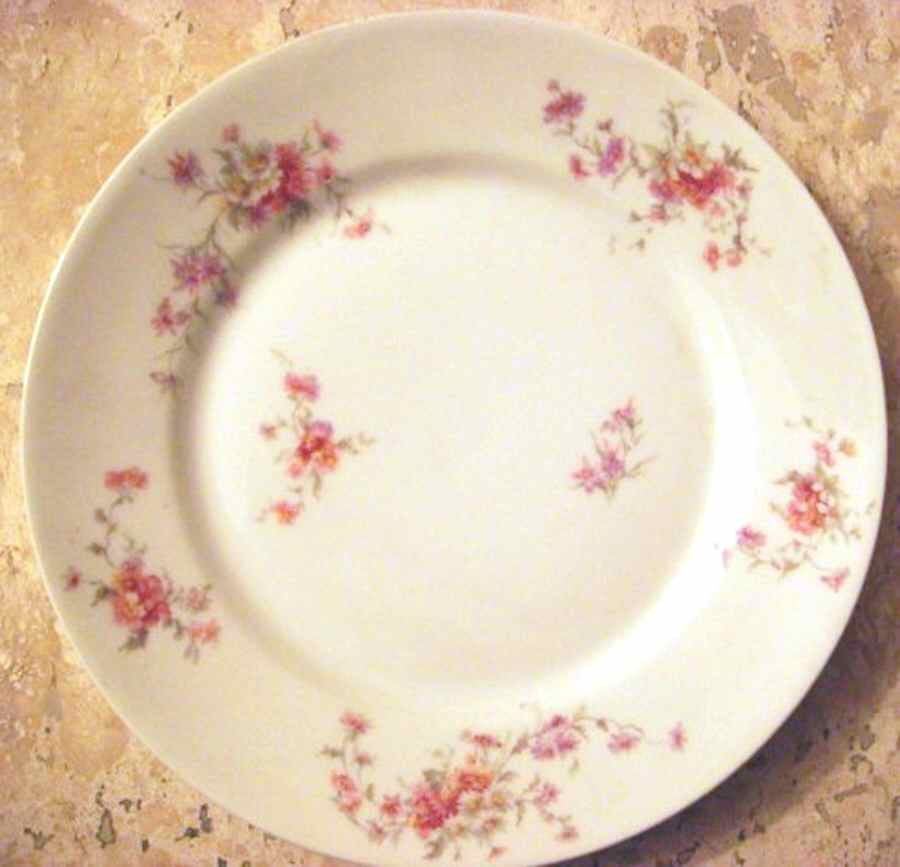 H3472 Dinner Plate by Haviland-1