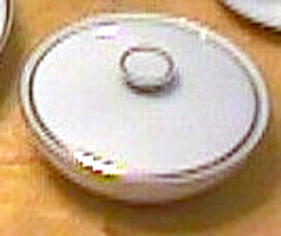 8054 Sugar Bowl & Lid by Hutschenreuther-1