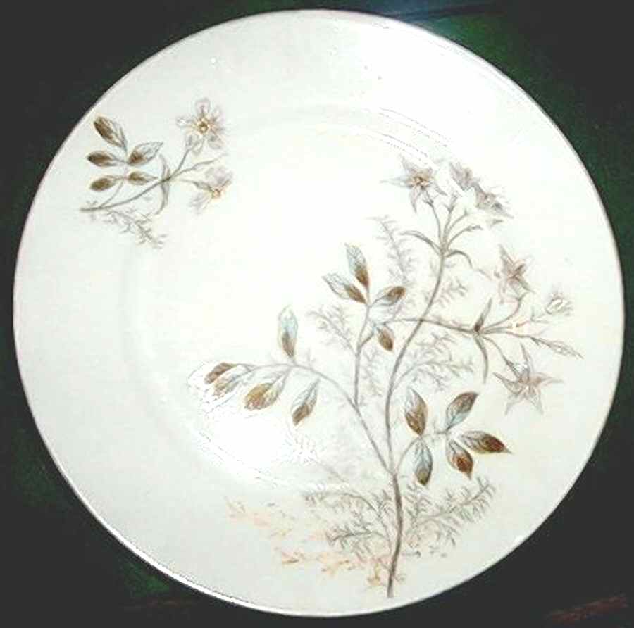 H3722 Dinner Plate by Haviland-1
