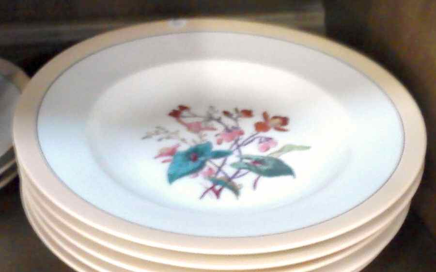 H3477 Dinner Plate by Haviland-1