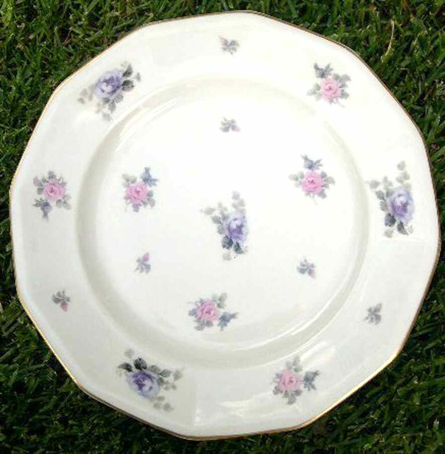 HCZ134 Dinner Plate by Haas-Czjzek Coronado-1