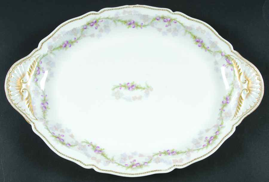 H3727 14" Oval Serving Platter by Haviland-1