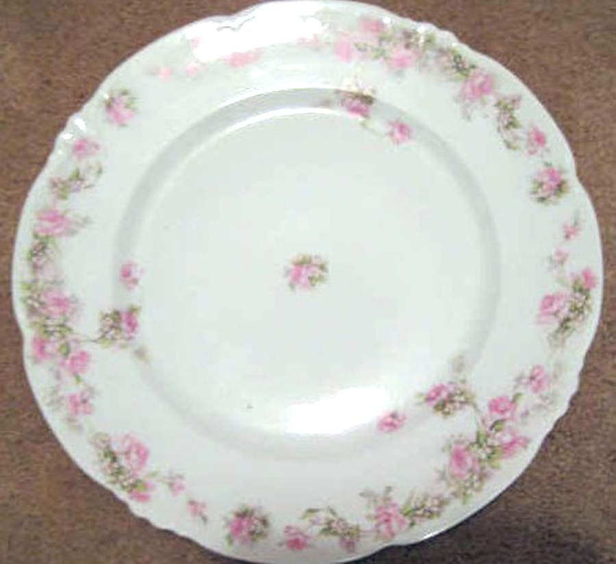 HAB100 Dinner Plate by Habsburg-1