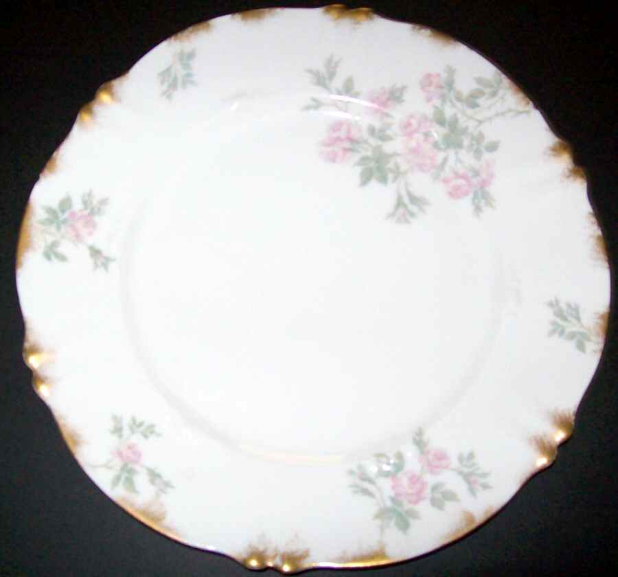 H3729 Dinner Plate by Haviland-1