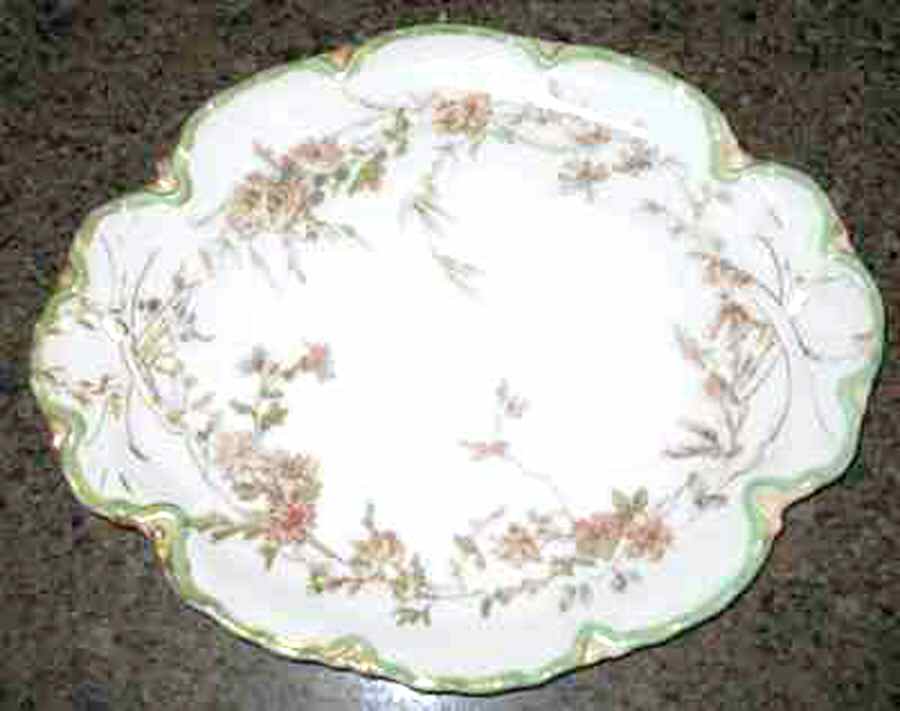 H3730 10" Sandwich Tray by Haviland-1
