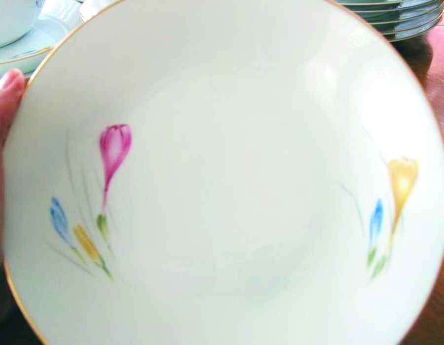 HUT1816 Dinner Plate by Hutschenreuther-1