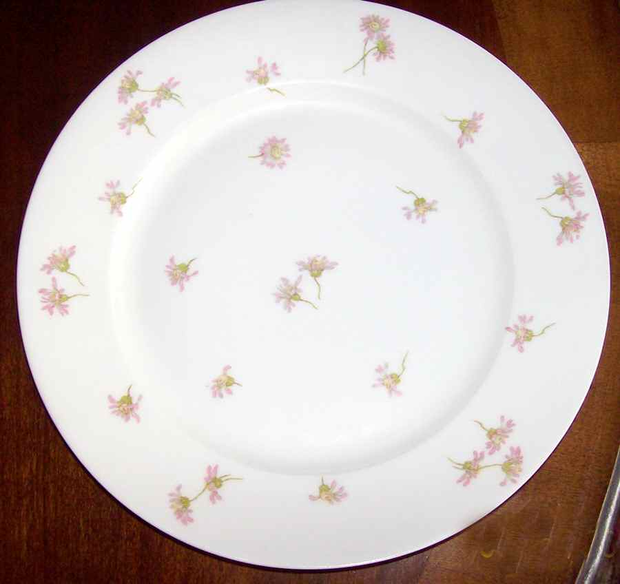 Schleiger 316-6 Dinner Plate by Haviland-1
