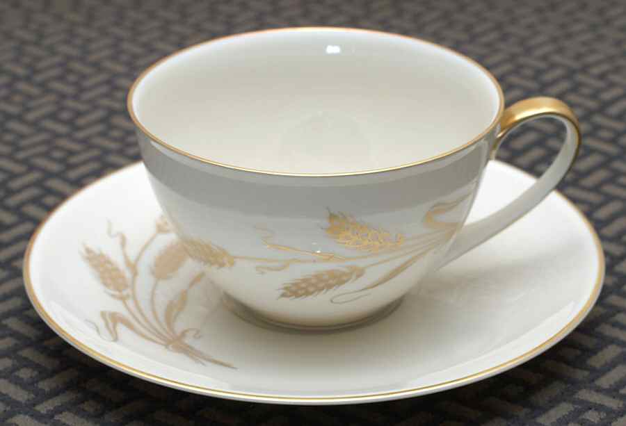 7602 Flat Cup & Saucer Set by Hutschenreuther-1