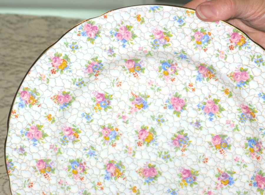 HAM108 Dinner Plate by Hammersley-1