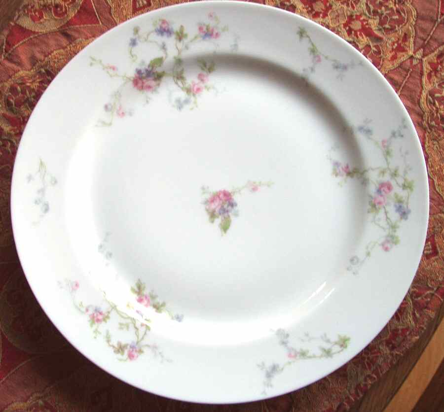 H3734 Dinner Plate by Haviland-1
