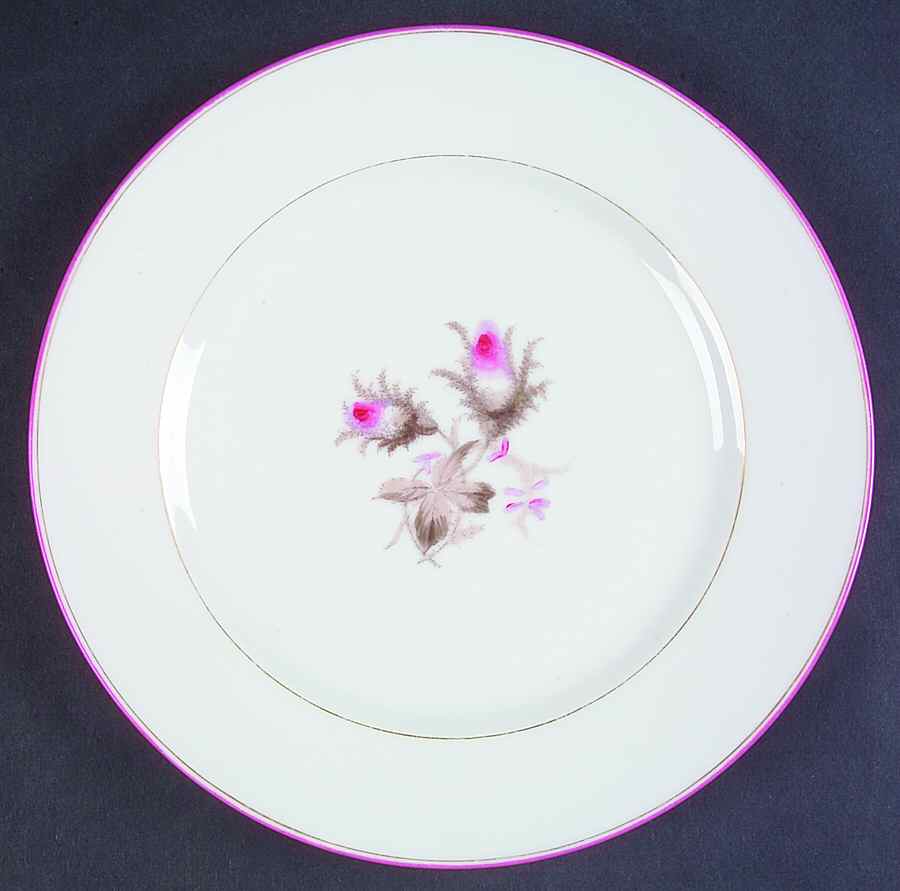 Moss Rose (Smooth, Pink Trim& Gold Line) Luncheon Plate by Haviland-1
