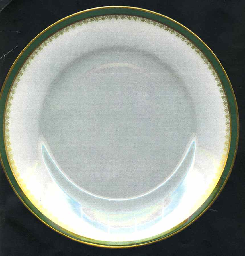 H3736 Salad Plate by Haviland-1