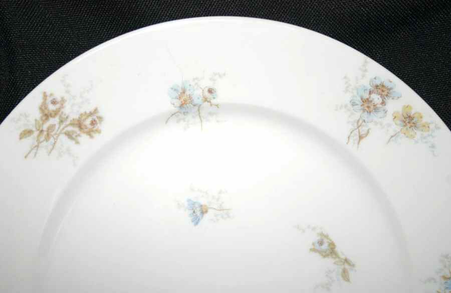 H3744 Dinner Plate by Haviland-1
