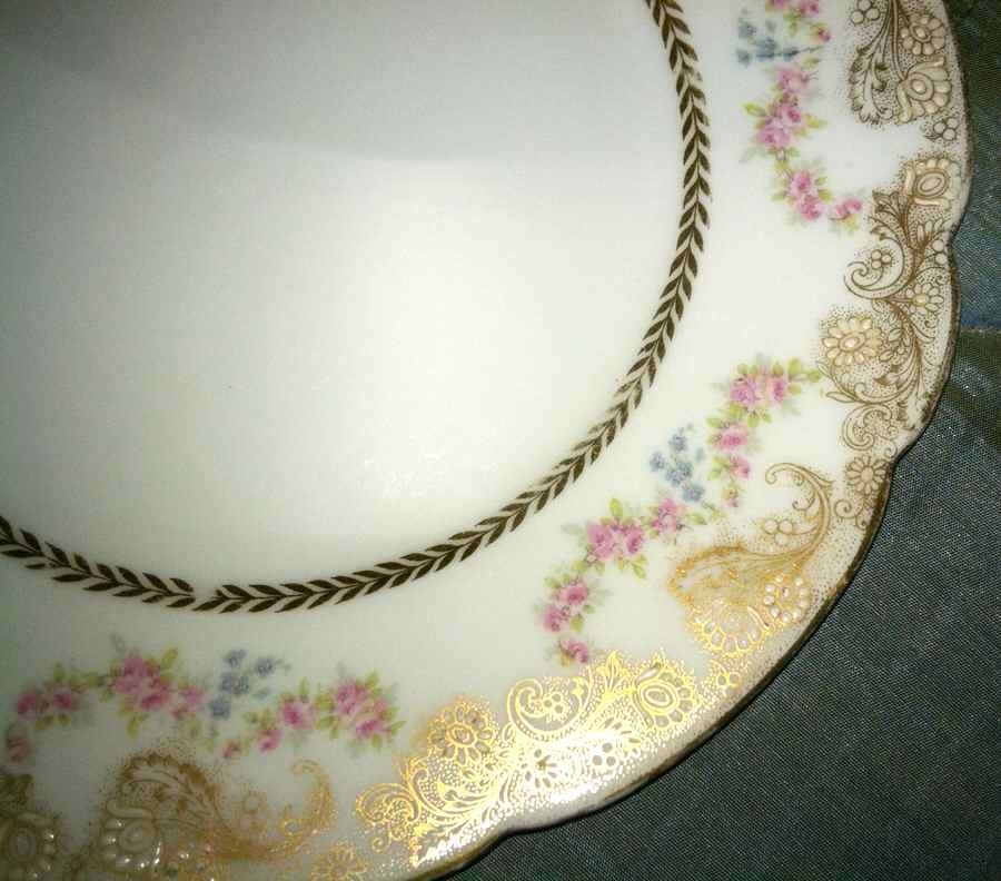 H3480 Dinner Plate by Haviland-1