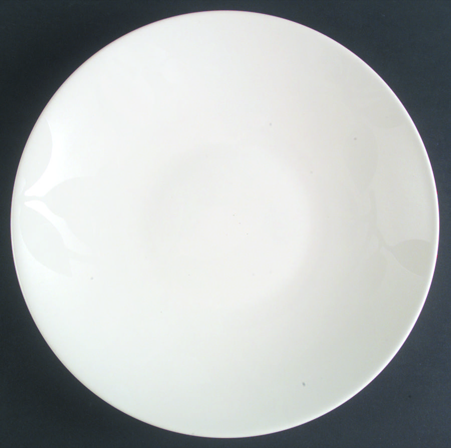 Worldview Leaf Chalk Dinner Plate by Home-1