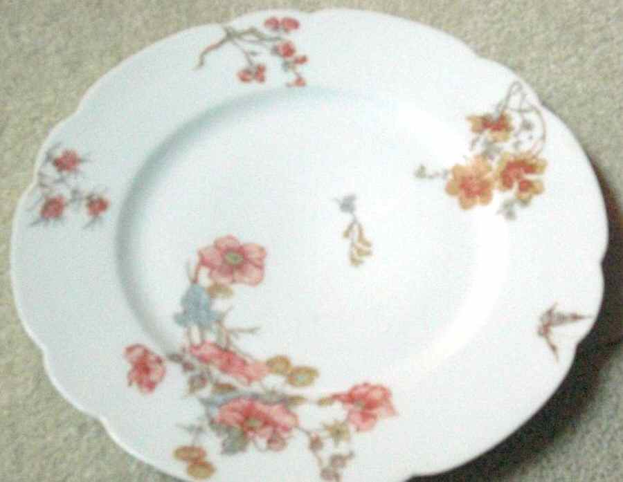 H3753 Salad Plate by Haviland-1