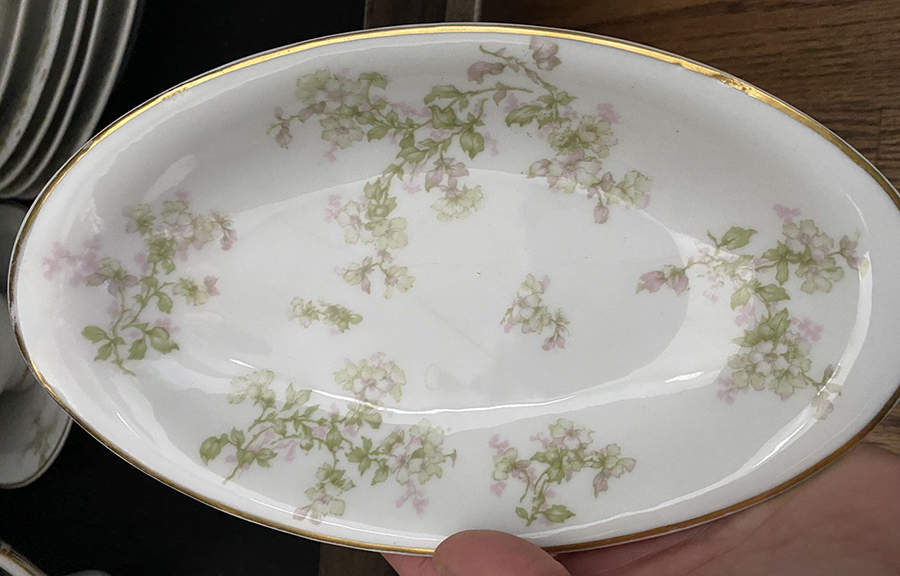 Schleiger 61-5 Relish by Haviland-1