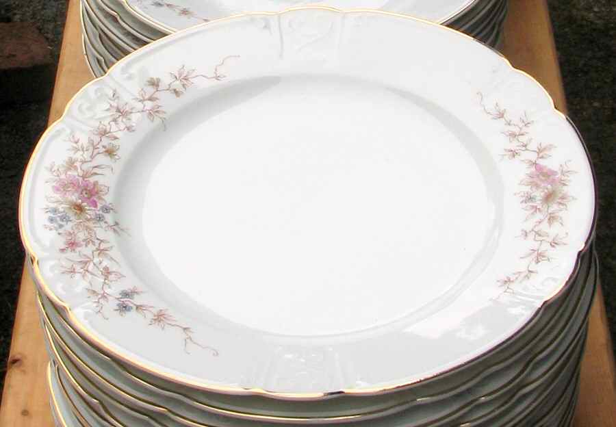 28159 Dinner Plate by Hutschenreuther-1